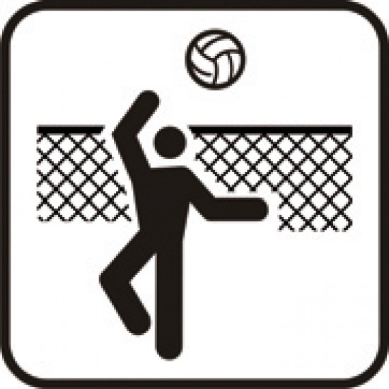 Pallavolo